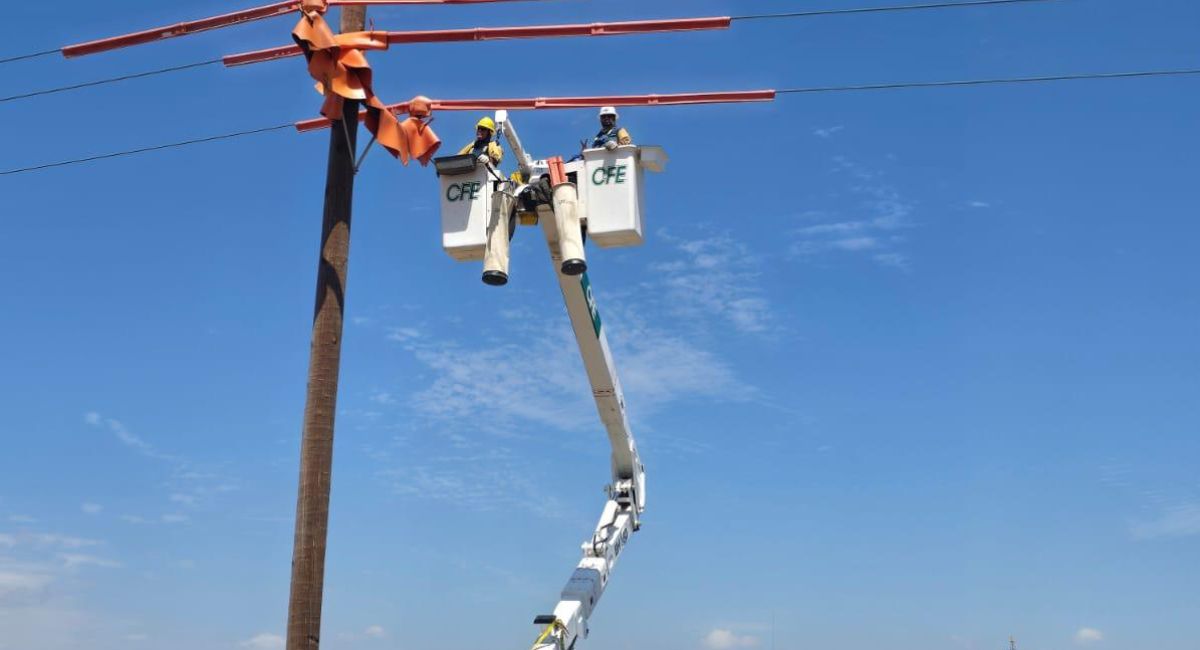 Se unen la CFE y los municipios de Sonora para dar mejor mantenimiento y atención a las redes eléctricas