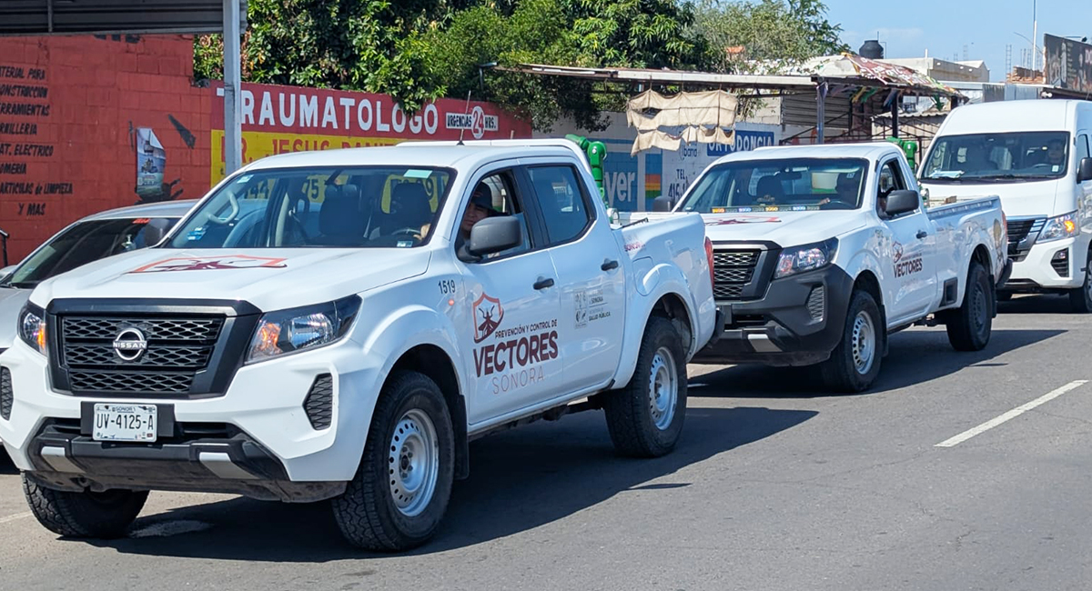 Refuerzan acciones contra el dengue con comité para prevenir arbovirosis en Cajeme