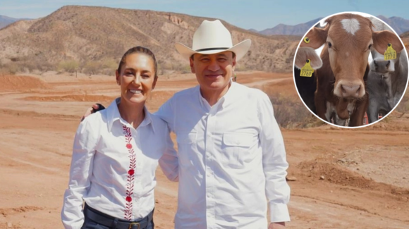 Sheinbaum y Durazo confirman reapertura de la frontera con EU para exportación ganadera