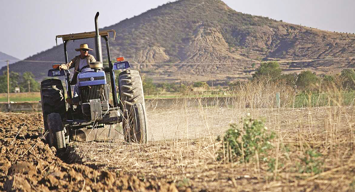 Crisis agrícola obliga a productores del Valle del Yaqui a vender tierras y maquinaria