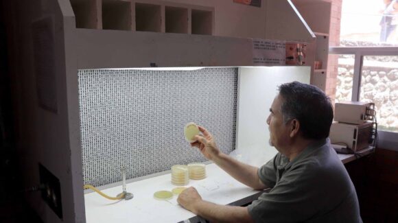 UNAM alerta sobre superbacteria global que está afectando a animales y humanos