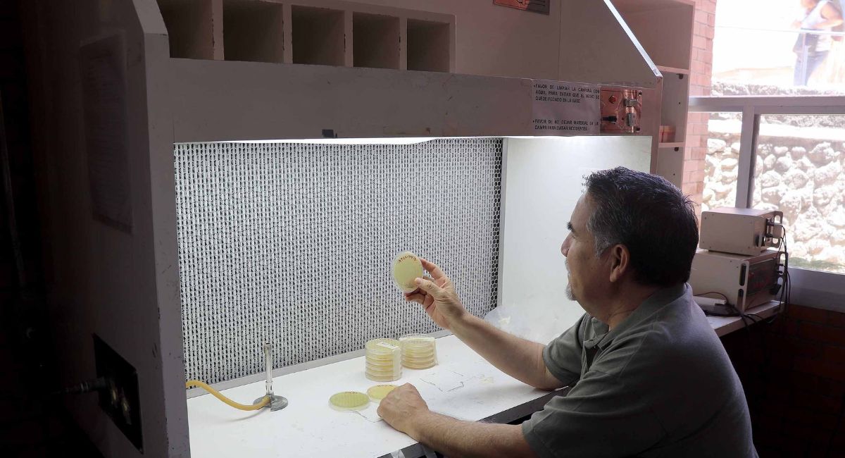 UNAM alerta sobre superbacteria global que está afectando a animales y humanos