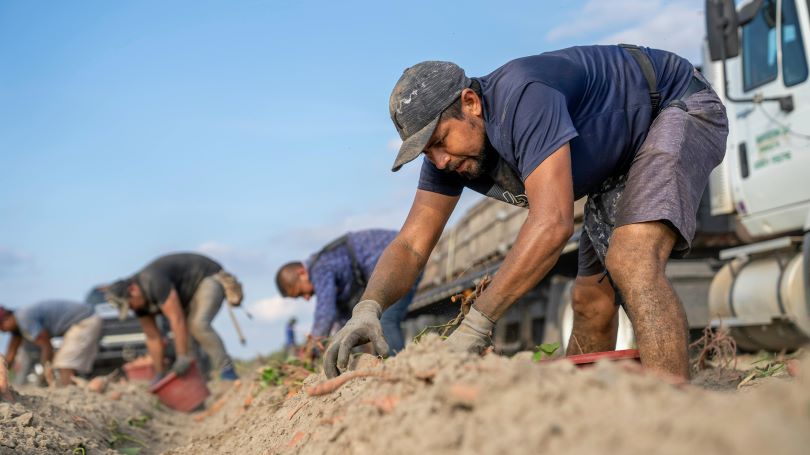 Van 99 casos de golpe de calor, su mayoría de Hermosillo
