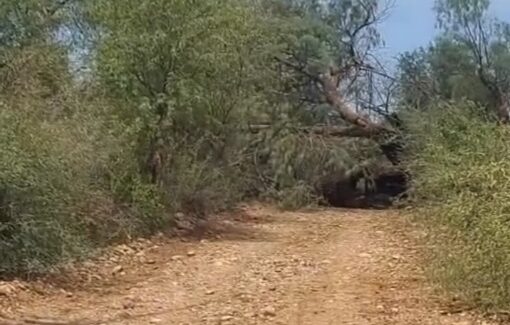 Vientos dejan sin luz y agua a comunidades rurales de Navojoa