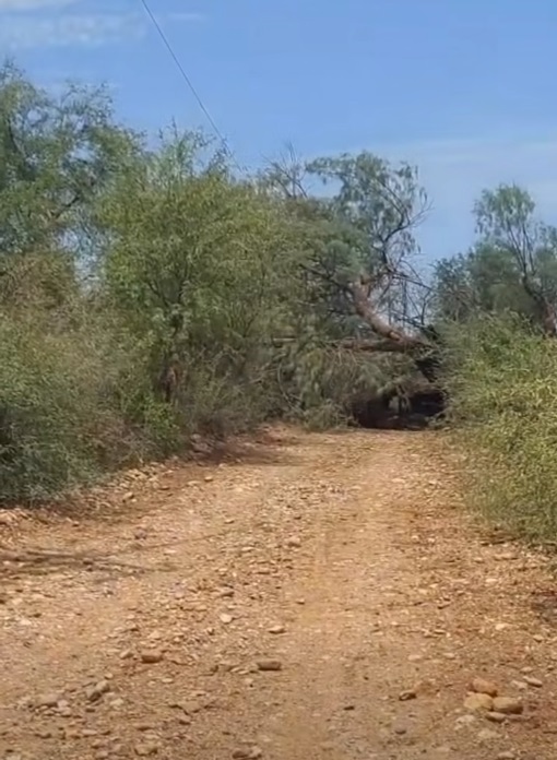 Vientos dejan sin luz y agua a comunidades rurales de Navojoa