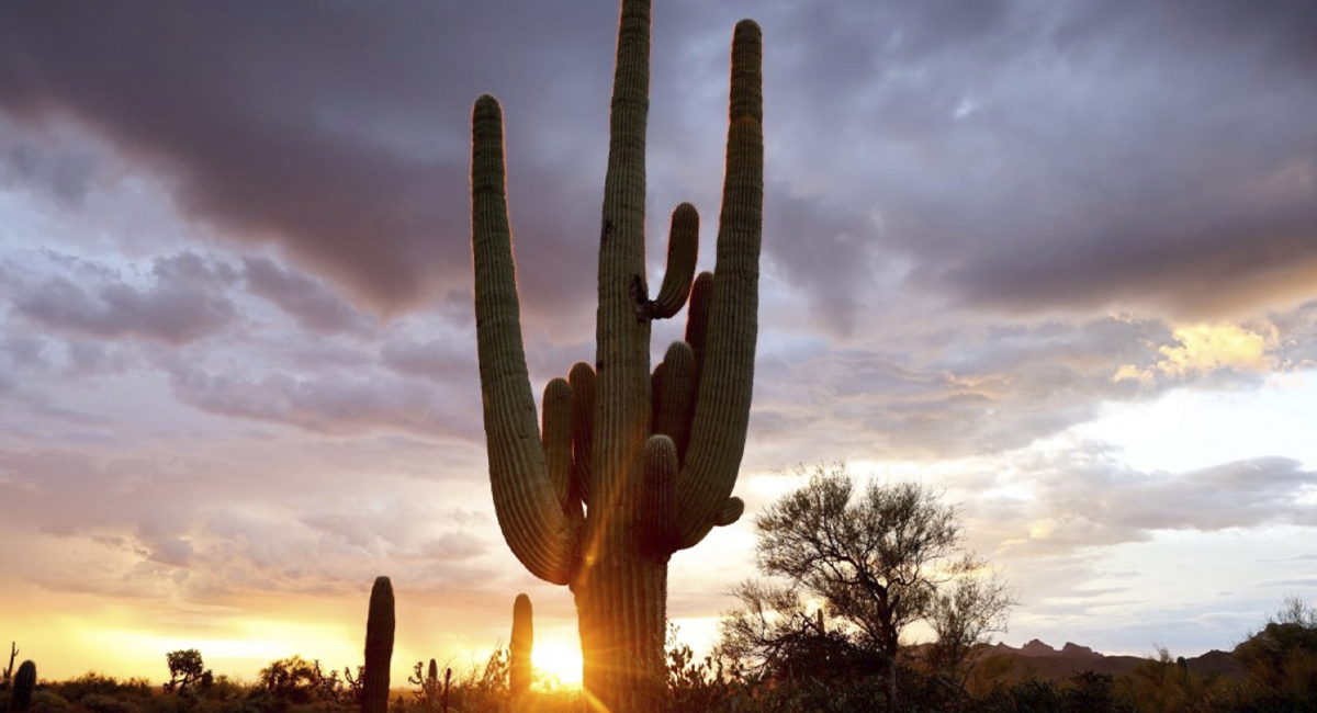 Pronóstico del clima para Hermosillo este miércoles