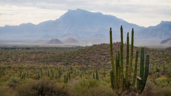 Clima en Sonora HOY 9 de julio: ¿En qué municipios habrá LLUVIAS FUERTES este JUEVES?