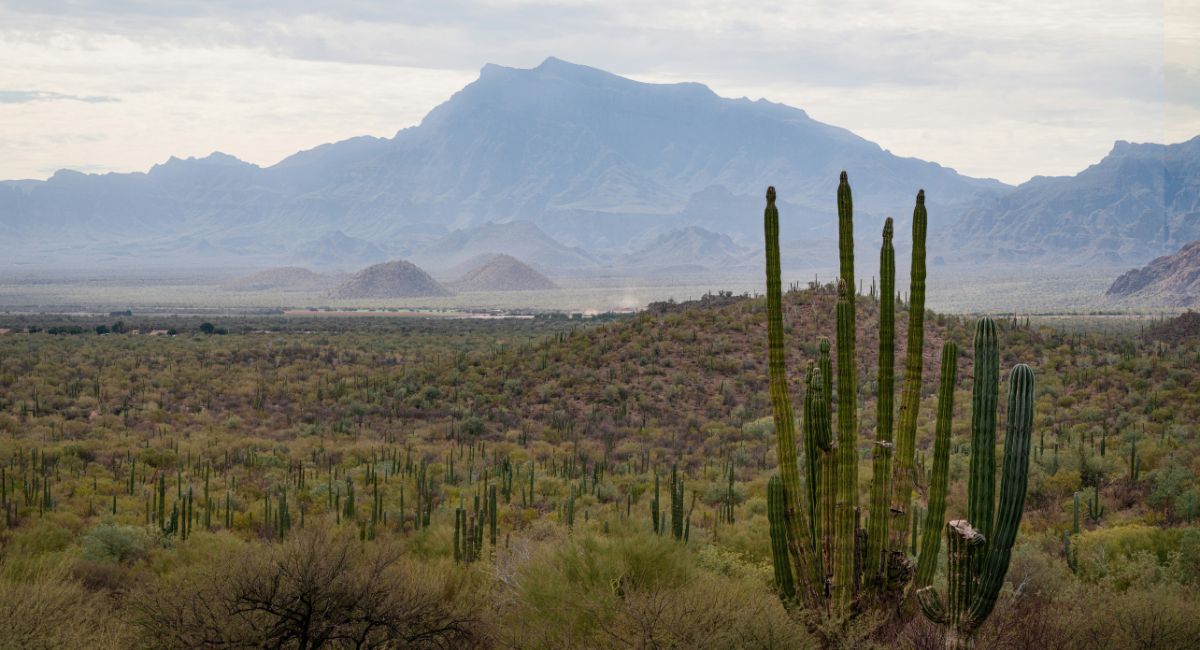 Conoce cómo estará el clima en Sonora hoy jueves 9 de julio
