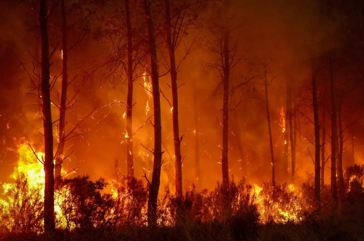 Emergencia por incendios forestales afecta a Francia, España y Portugal