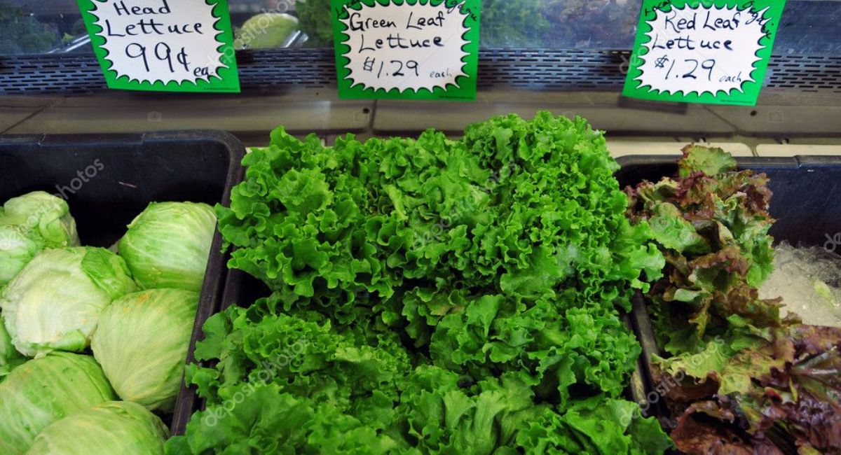 Taylor Farms retira lechuga tras investigación por brote de ciclosporiasis en EU