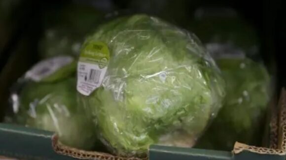 Empresa retira voluntariamente la lechuga por posible vínculo con brote de diarrea en Estados Unidos
