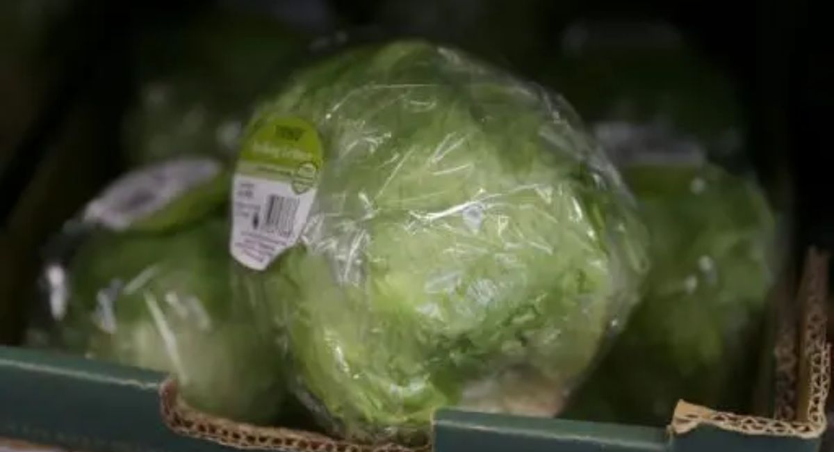 Empresa retira voluntariamente lechuga en EU por posible vínculo con brote de diarrea