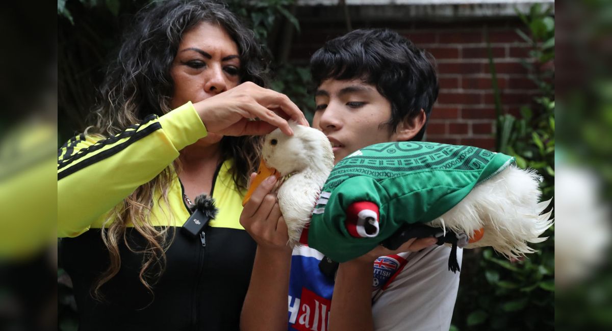 Familia del Pato Merlín recibe vivienda en CDMX