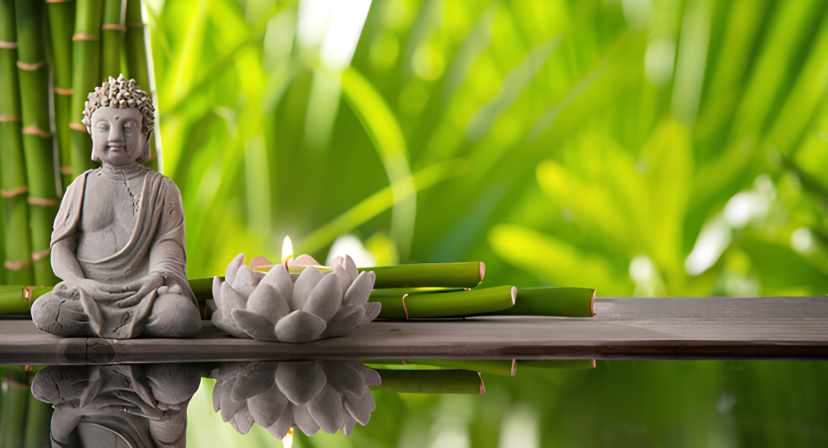 ¿Cómo atraer la abundancia? 10 señales de tu hogar que no deberías ignorar según el Feng Shui