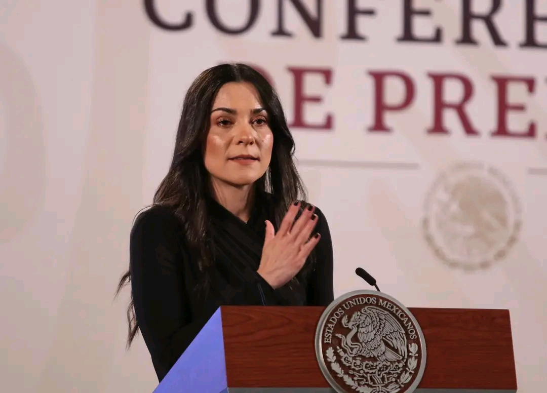 Liz Vilchis, exfuncionaria de Andrés Manuel López Obrador, reconoce tuits vulgares y afirma ser otra persona ahora