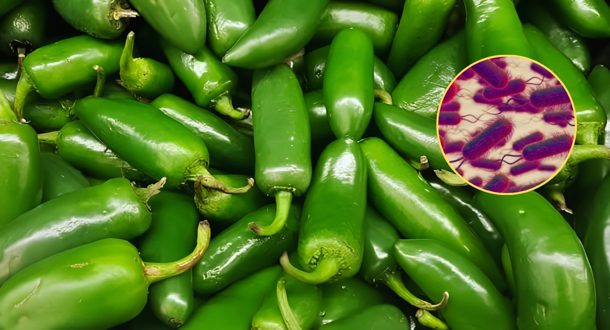 Alerta sanitaria en EU: Vinculan brote de salmonela con jalapeños mexicanos; reportan 345 casos