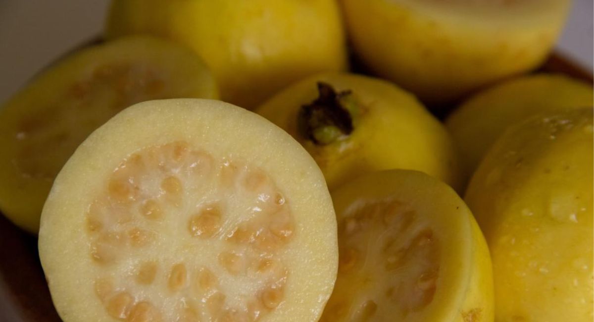 Avalado por la UNAM: por qué el té de hojas de guayaba es el mejor remedio casero para la digestión