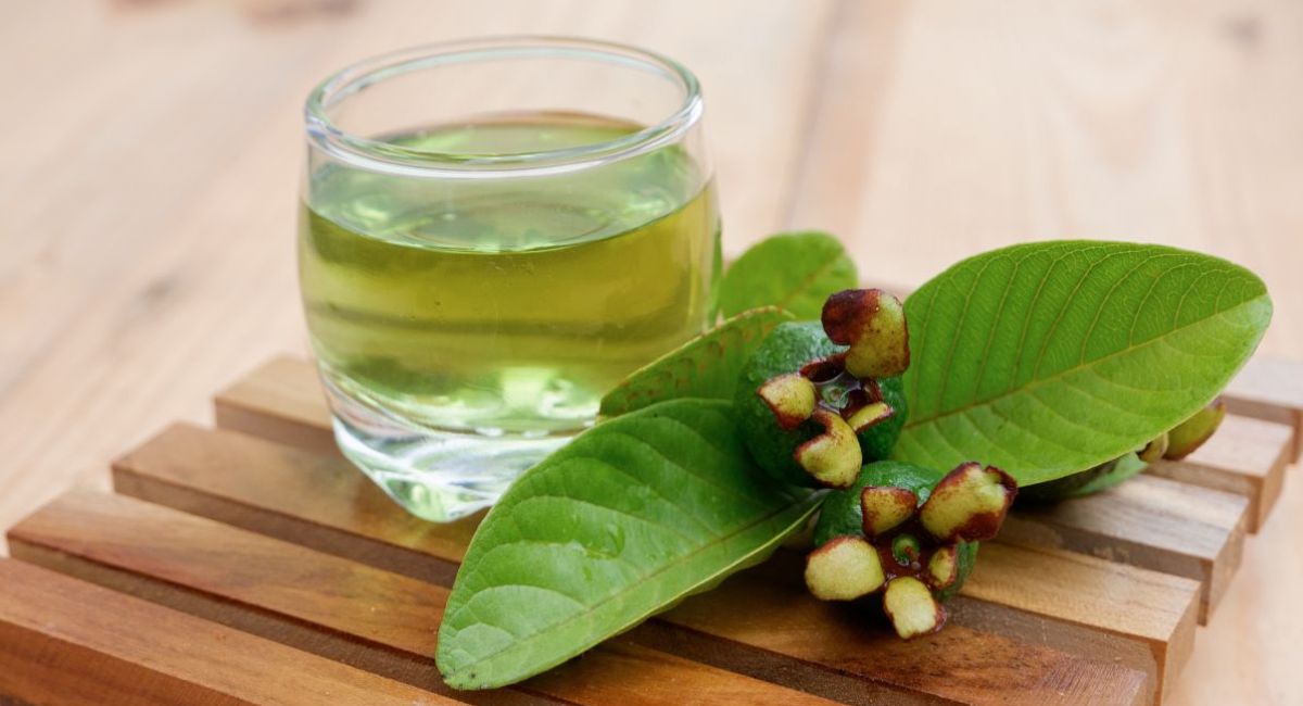 Avalado por la UNAM: por qué el té de hojas de guayaba es el mejor remedio casero para la digestión