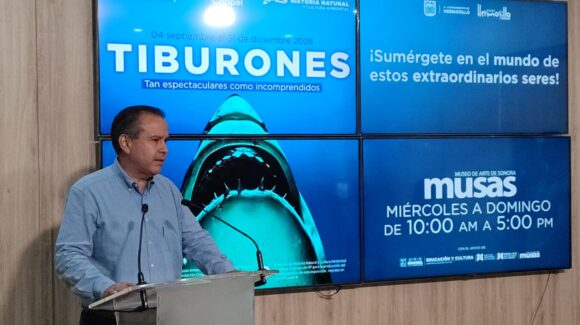 Ayuntamiento de Hermosillo trae la exposición ‘Tiburones’ al MUSAS