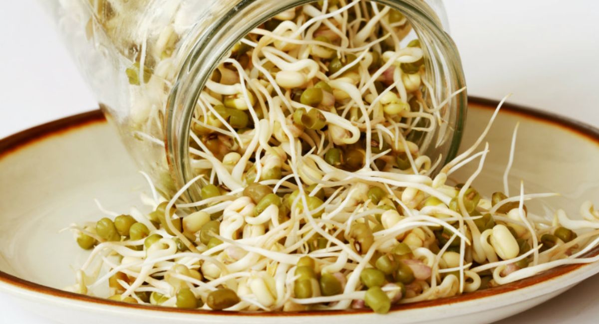 Brote de Salmonella y E. coli en soja germinada contaminada alerta a Estados Unidos