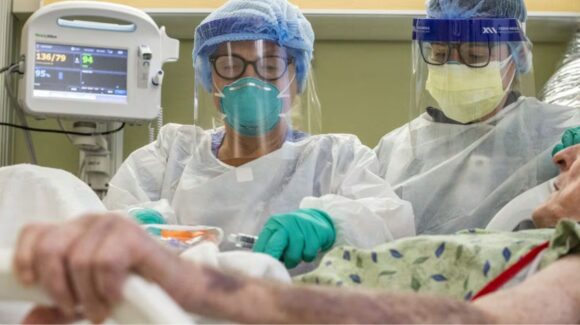 CDC confirma más de 3 mil casos de un brote de Candida auris en Estados Unidos resistente a medicamentos