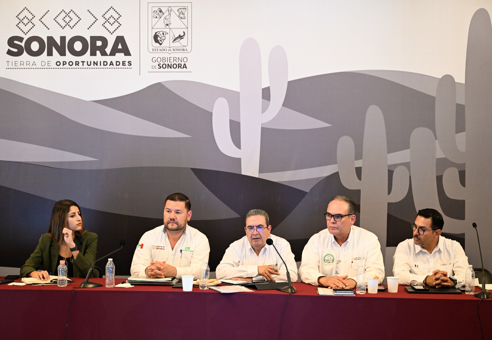 CFE anuncia inversión de tres mil 366 mdp para fortalecer red eléctrica en Sonora