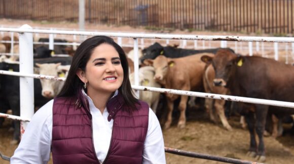 Celida López destaca reapertura de cruce ganadero entre Agua Prieta y Douglas