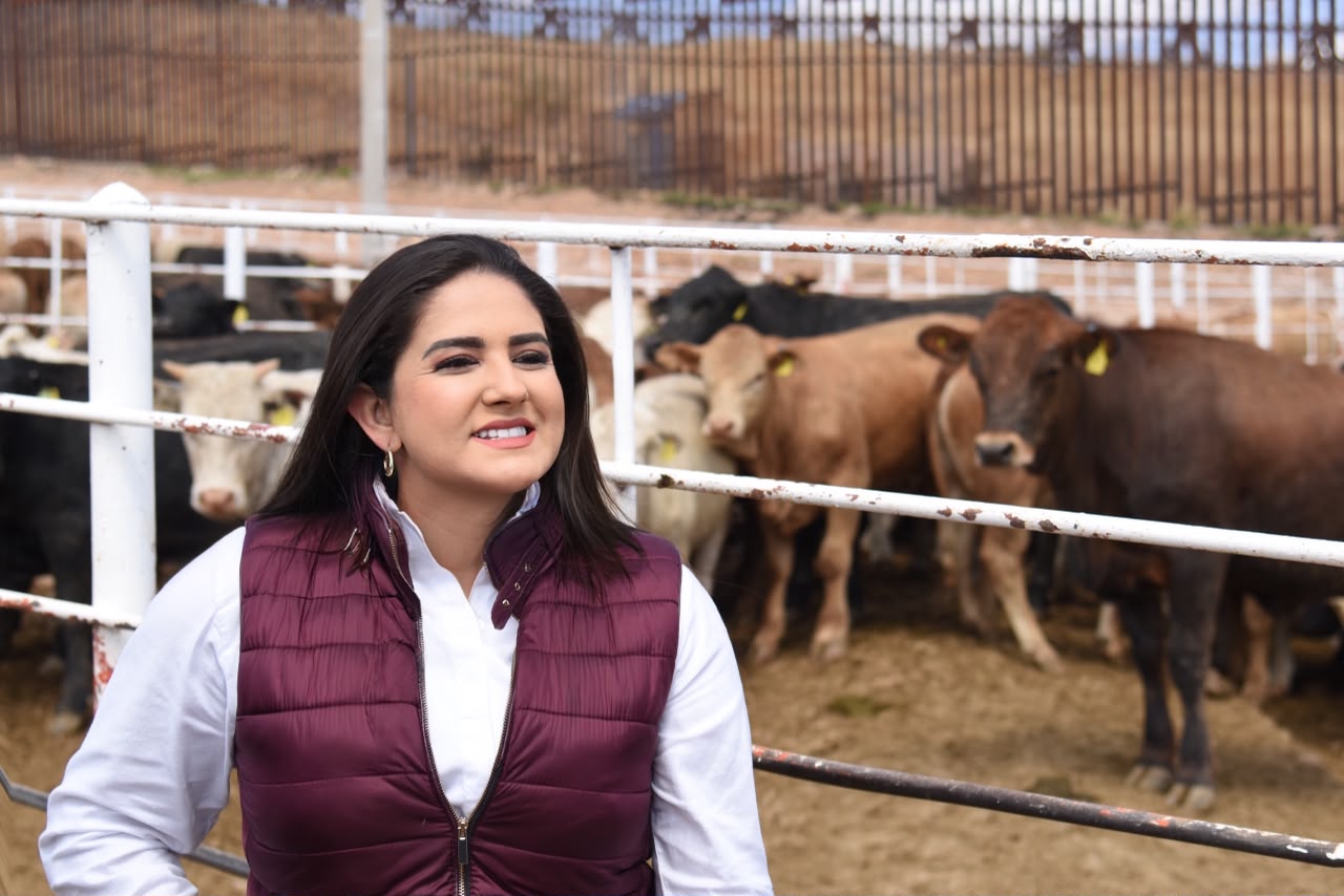 Celida López destaca reapertura de cruce ganadero entre Agua Prieta y Douglas