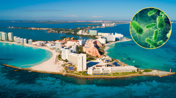 Cofepris descarta presencia del parásito Cyclospora en hoteles de la Riviera Maya