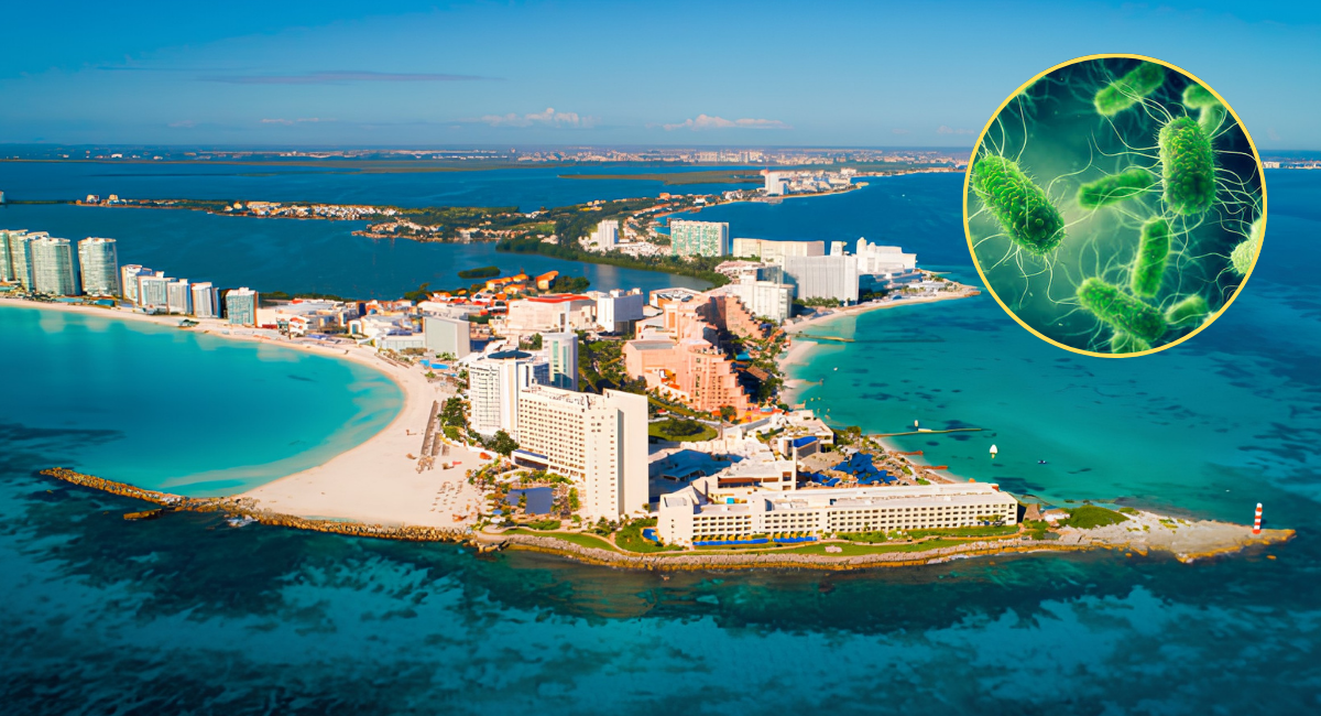 Cofepris descarta presencia del parásito Cyclospora en hoteles de la Riviera Maya