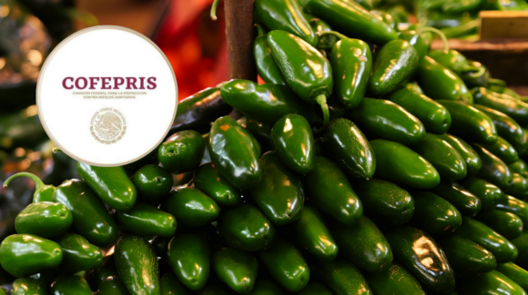 Cofepris investiga planta de chiles mexicanos por posible vínculo con brote de salmonela en EU