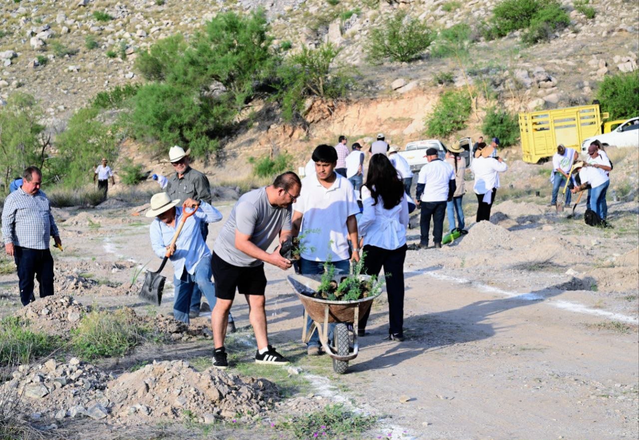 Con más de 13 mil árboles, Sonora se suma a Jornada Nacional de Reforestación