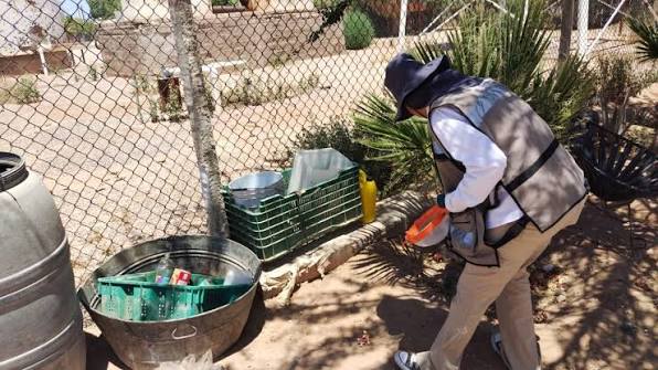 Dengue mantiene su avance en Guaymas; suma 187 casos y sigue entre los municipios más afectados de Sonora
