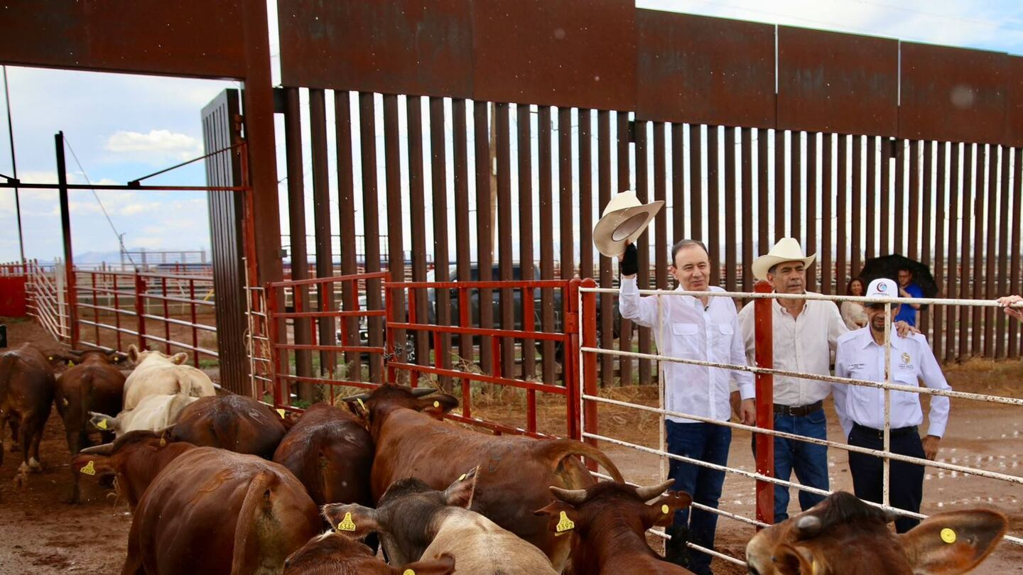 Durazo activa cerco sanitario tras primer caso de gusano barrenador en Sonora