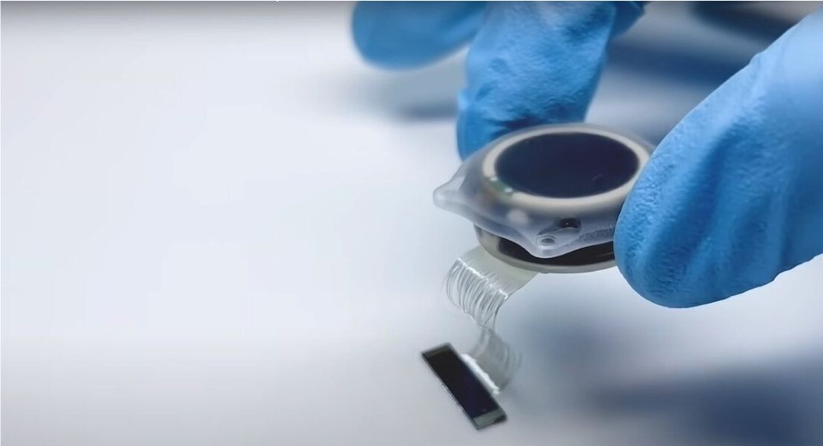 El chip cerebral de Elon Musk con el que Neuralink promete devolver la visión