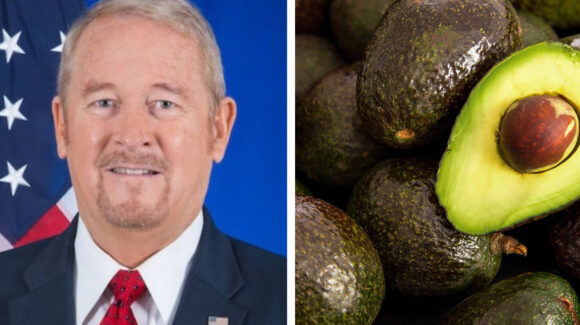 Embajador de EU confirma que se reanuda inspección de aguacate en cinco municipios de Michoacán