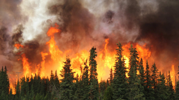Emergencia en Washington: Incendios forestales obligan a evacuar a 60 mil personas y destruyen 600 estructuras