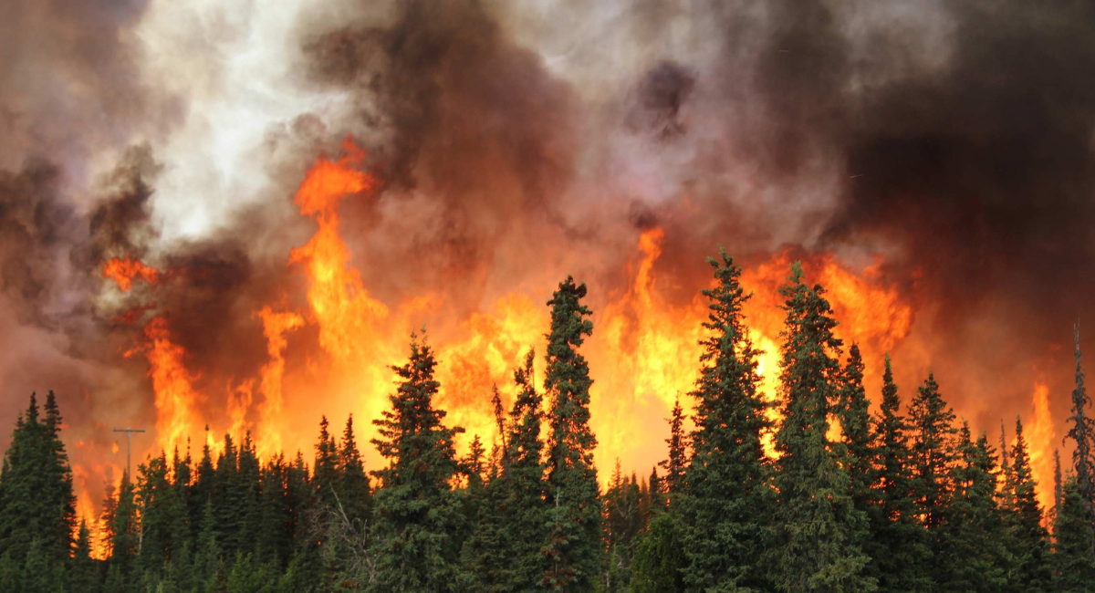 Emergencia en Washington: Incendios forestales obligan a evacuar a 60 mil personas y destruyen 600 estructuras