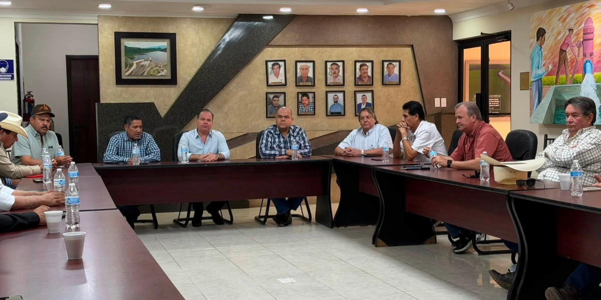 Estamos en la lona, agricultores del Valle del Mayo piden apoyo ante contingencia climática
