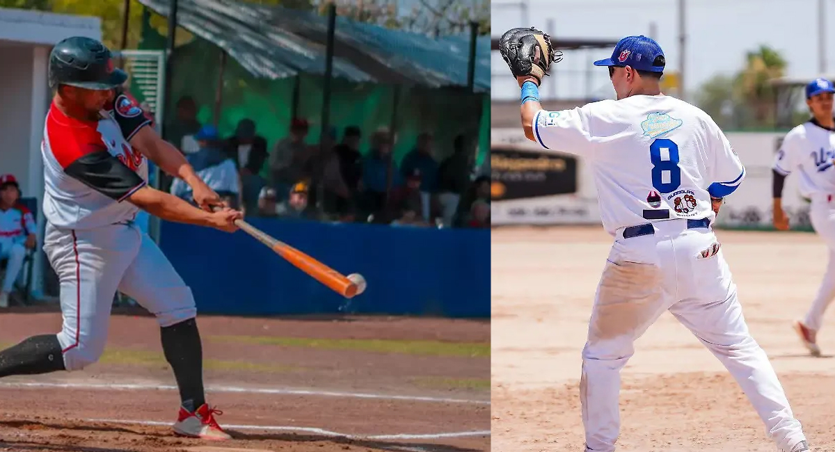 Estatal primera fueza de beisbol