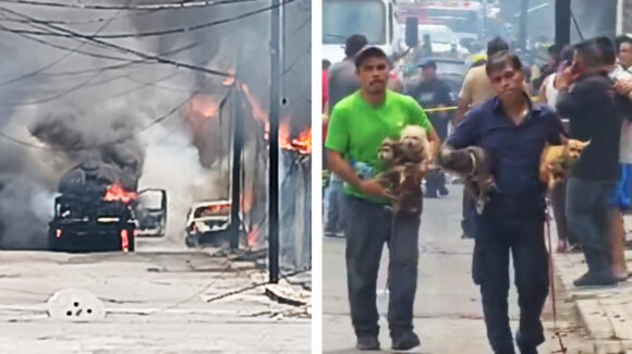 VIDEO: Explosión de pipa de gas en Cuernavaca deja 20 heridos, daños materiales y corte eléctrico