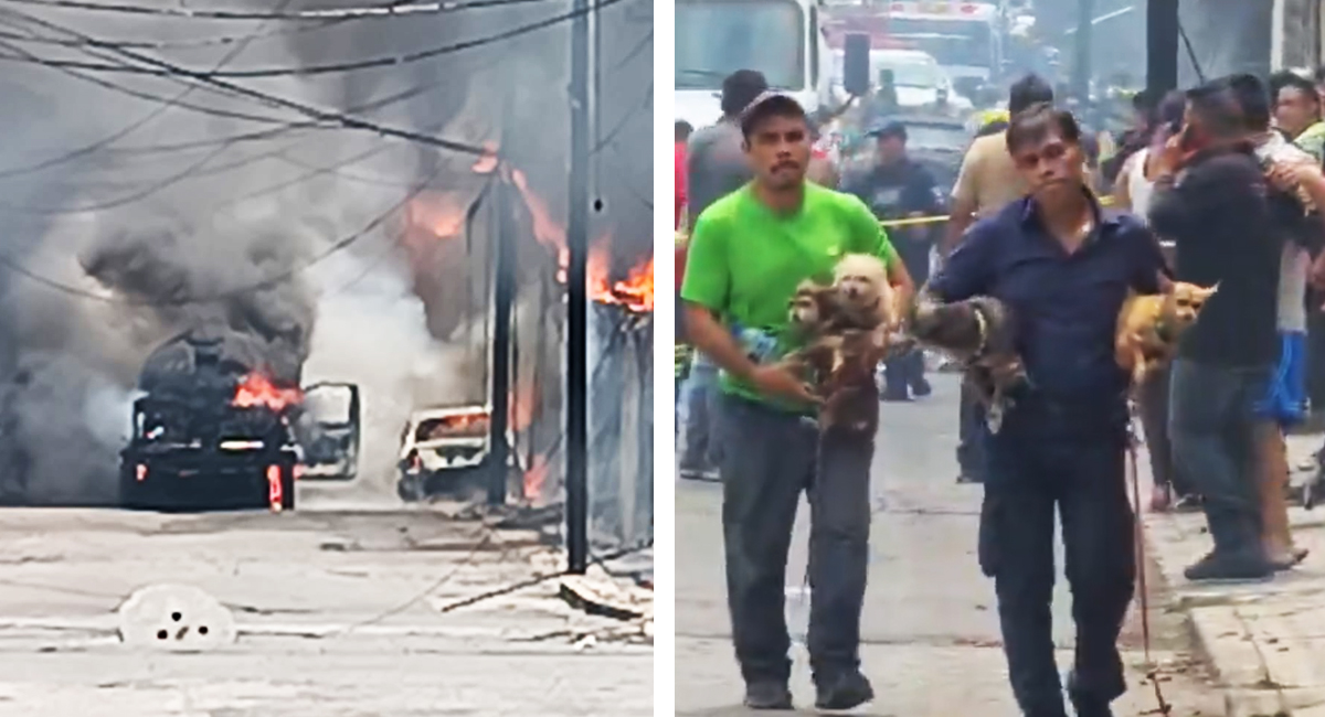 VIDEO: Explosión de pipa de gas en Cuernavaca deja 20 heridos, daños materiales y corte eléctrico