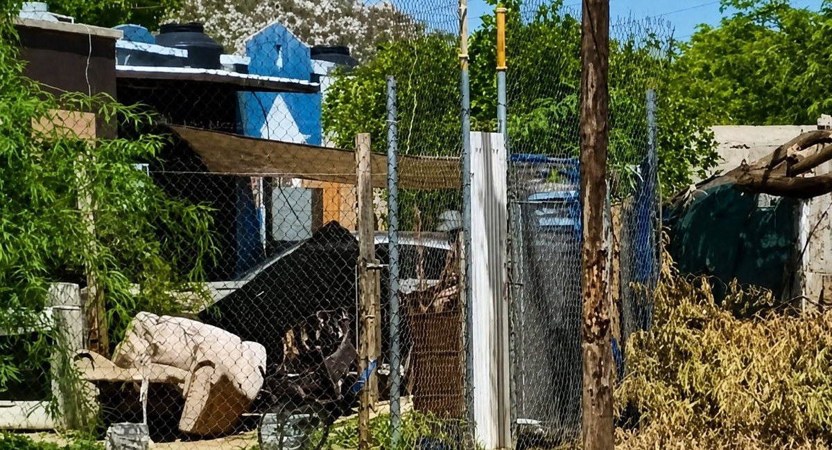 Fiscalía de Sonora halla cuerpo enterrado en casa de Hermosillo; investigaban reporte de desaparición