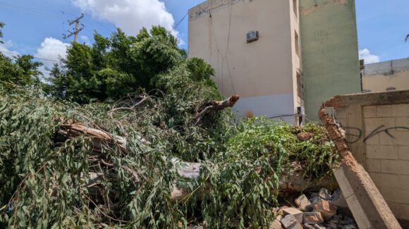 Fuerte tormenta provoca más de 120 reportes de daños en Cajeme