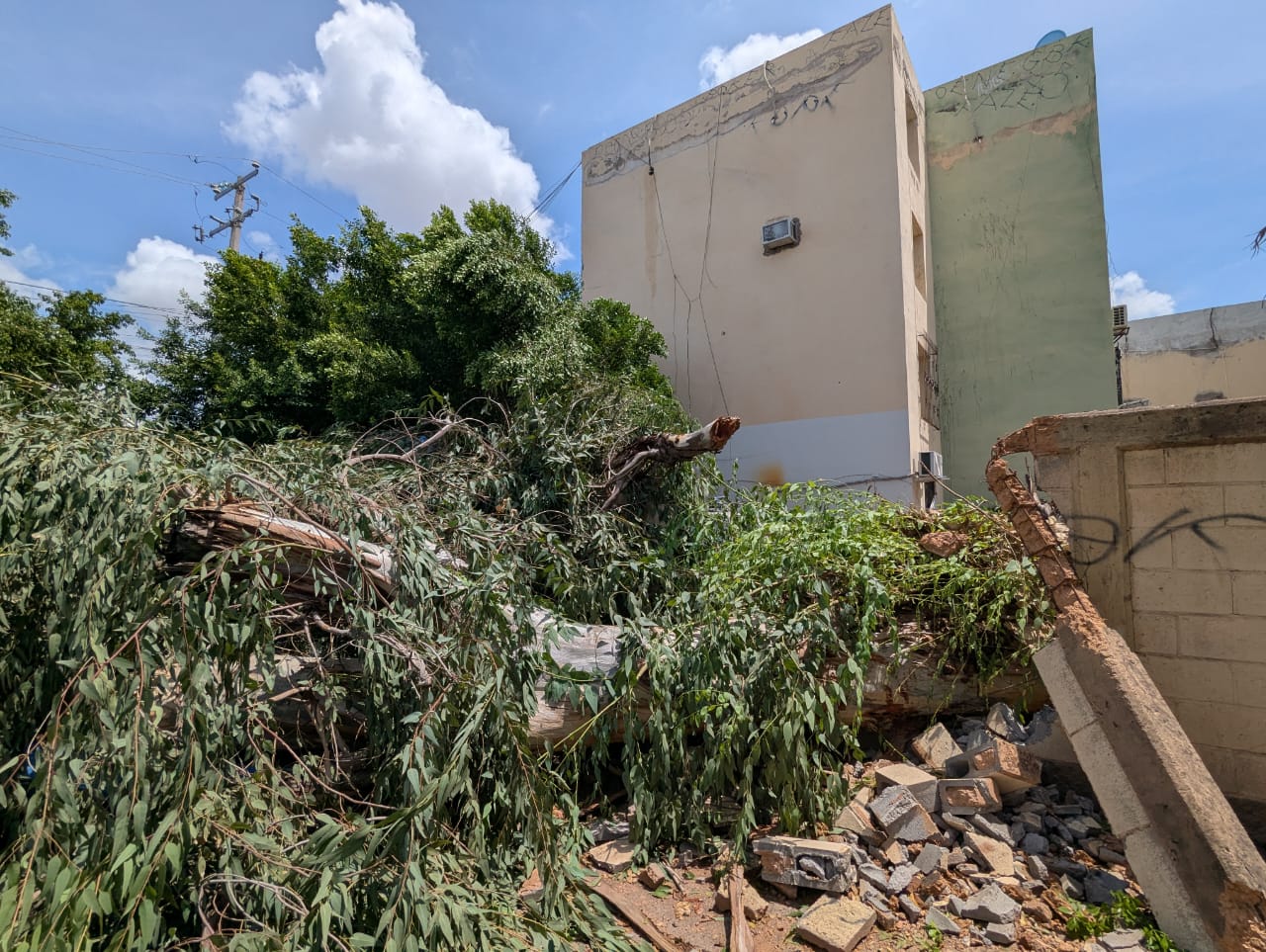 Fuerte tormenta provoca más de 120 reportes de daños en Cajeme