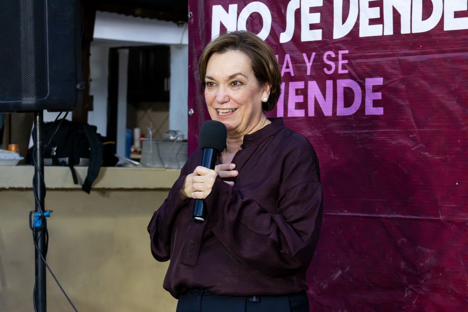 Gobierno y empresarios impulsan inversiones en México: María Dolores del Río