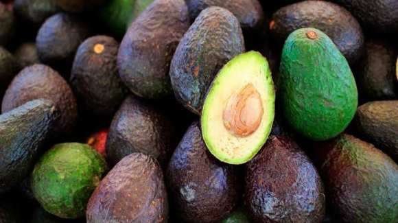 Golpe al campo mexicano: EU suspende importación de aguacate por alerta de seguridad en Michoacán