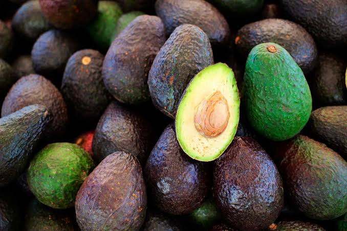 Golpe al campo mexicano: EU suspende importación de aguacate por alerta de seguridad en Michoacán