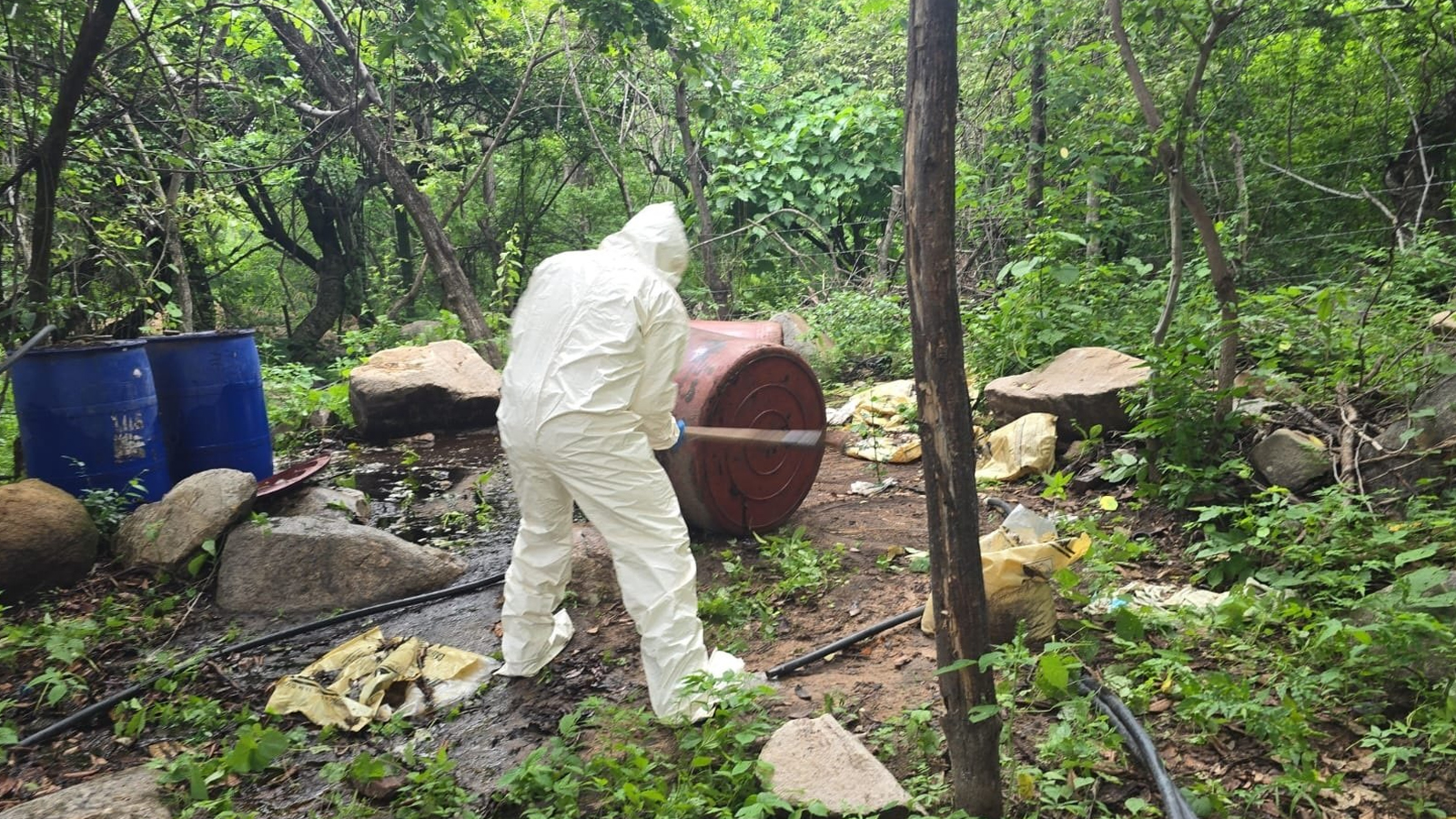 Golpe al crimen en Sinaloa: Marina destruye tres narcolaboratorios con 3 mil litros de químicos