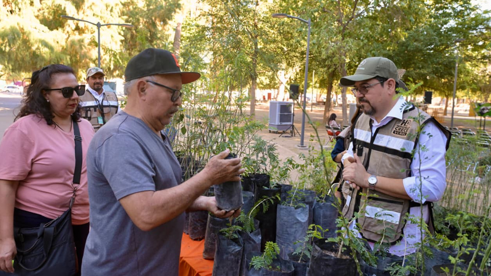 Hermosillo gana por segundo año el Desafío de Ciudades de WWF